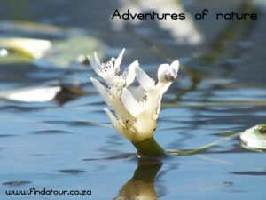 Adventure of nature